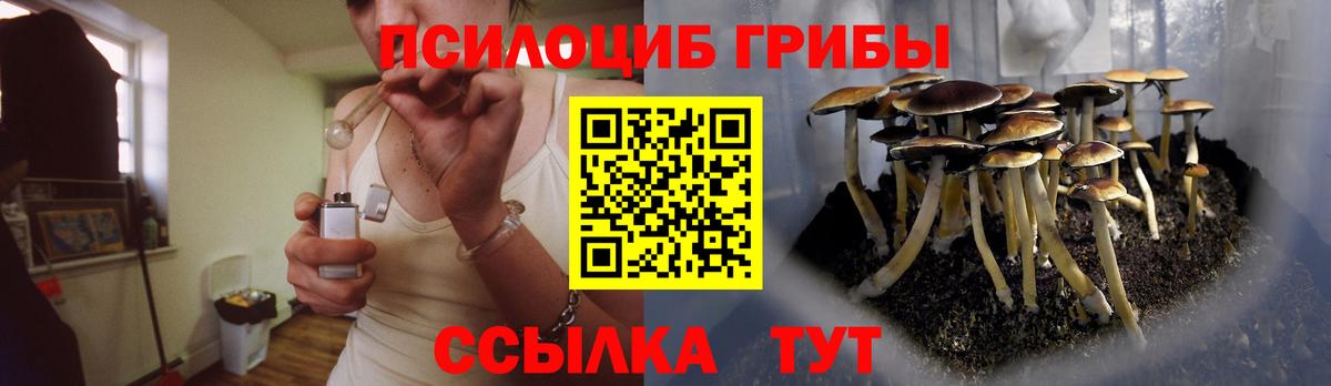 Псилоцибиновые грибы Magic Shrooms Прокопьевск