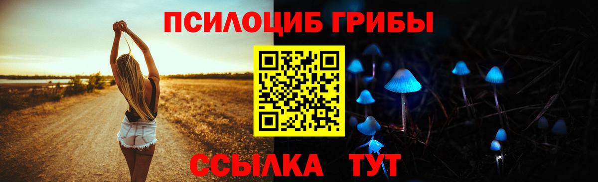 Прокопьевск  закладка  Вход с VPN  Псилоцибиновые грибы Psilocybine cubensis 